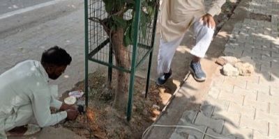 Sahan ton vanjherukh